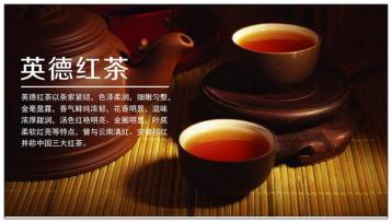“英紅九號”金裝紅茶獲特等金獎|紅茶新聞