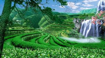 普洱茶六大茶山之革登茶山|普洱茶產地