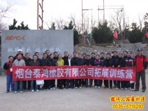 煙臺泰鴻橡膠